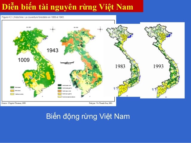 Bản đồ biến động rừng việt nam qua các thời kỳ