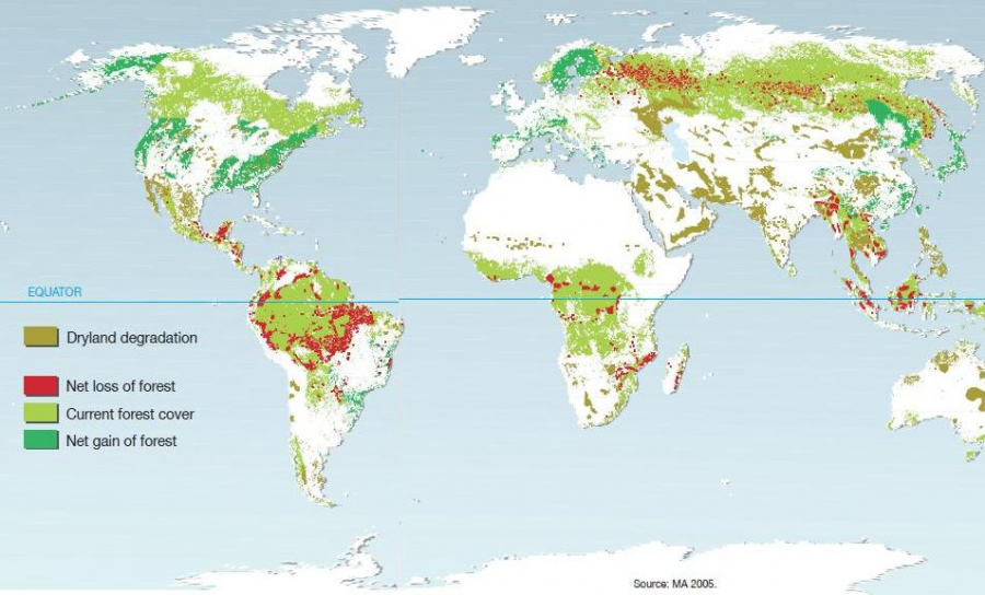 Bản đồ rừng trên thế giới